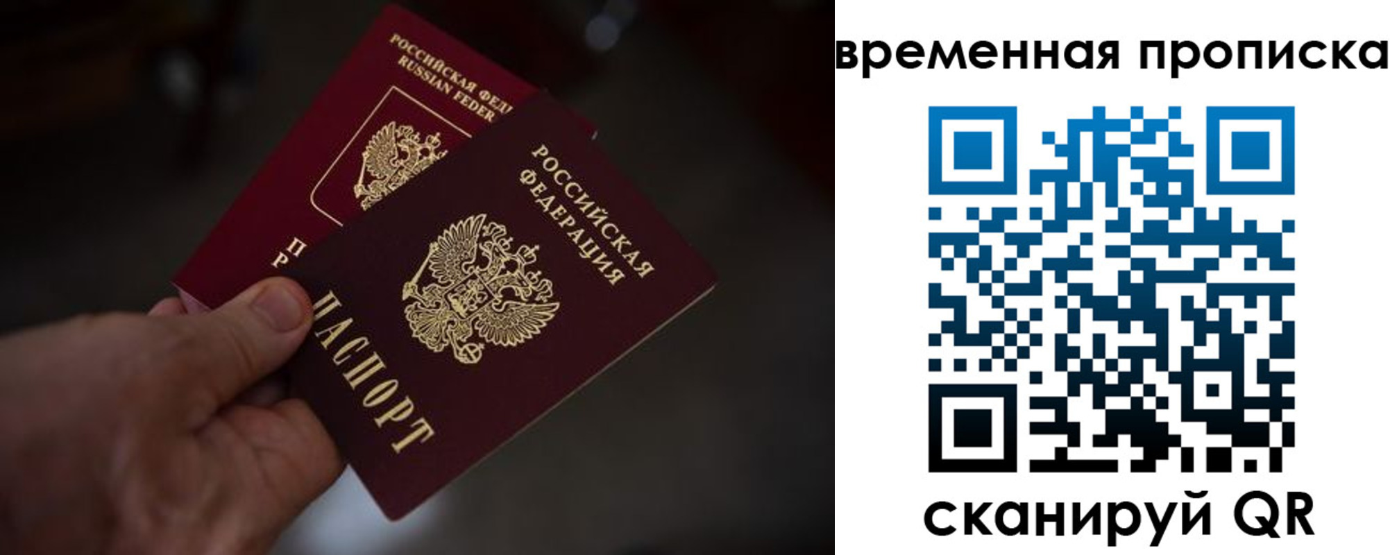 прописка в Суворове